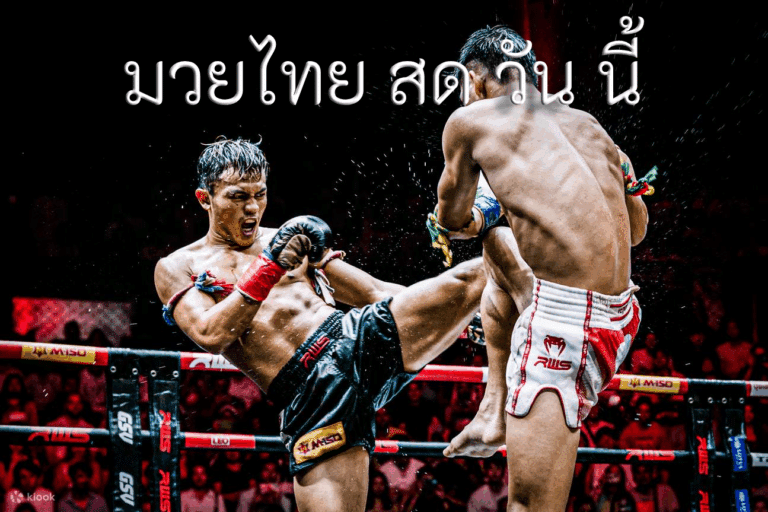 มวยไทย สด วัน นี้ เปิดแฟ้มลับนักชก ขุดข้อมูลเชิงลึกก่อนแทงมวยให้แม่นกว่าเดิม