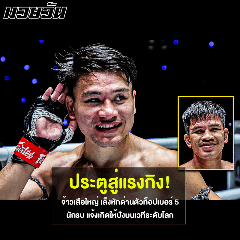 จ้าวเสือใหญ่