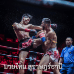 มวยไทย สุราษฎร์ธานี เริ่มต้นแทงยังไงให้ปลอดภัย เคล็ดลับเลือกเว็บตรง