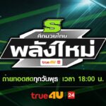 มวยไทย พลัง ใหม่ วิธีสังเกตนักมวยที่พร้อมคว้าชัย ก่อนแทง