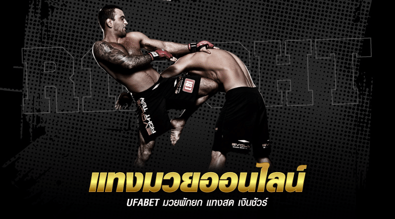 แทงมวยufabet