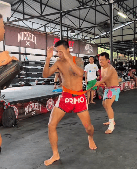 พันธ์พยัคฆ์